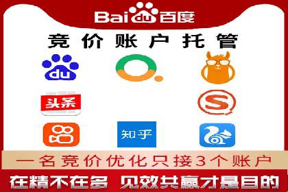 竞价推广公司经典案例：打造行业领先的广告投放效果